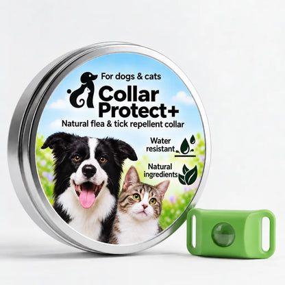 Collar Protect+